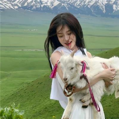斗魂无双之无字真经